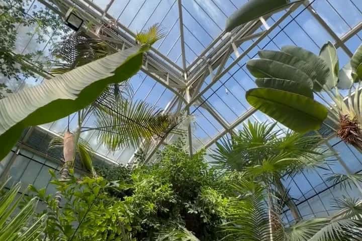 Botanical Garden Jevremovac