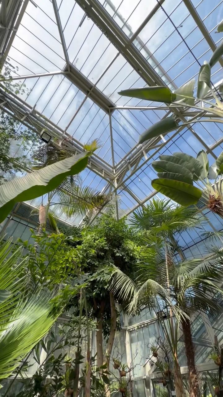 Botanical Garden Jevremovac