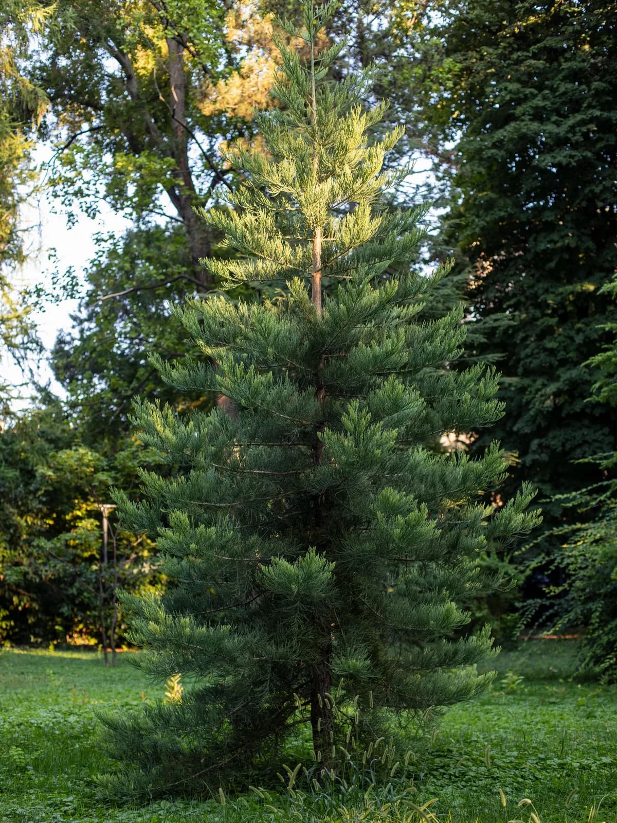 Botanical Garden Jevremovac