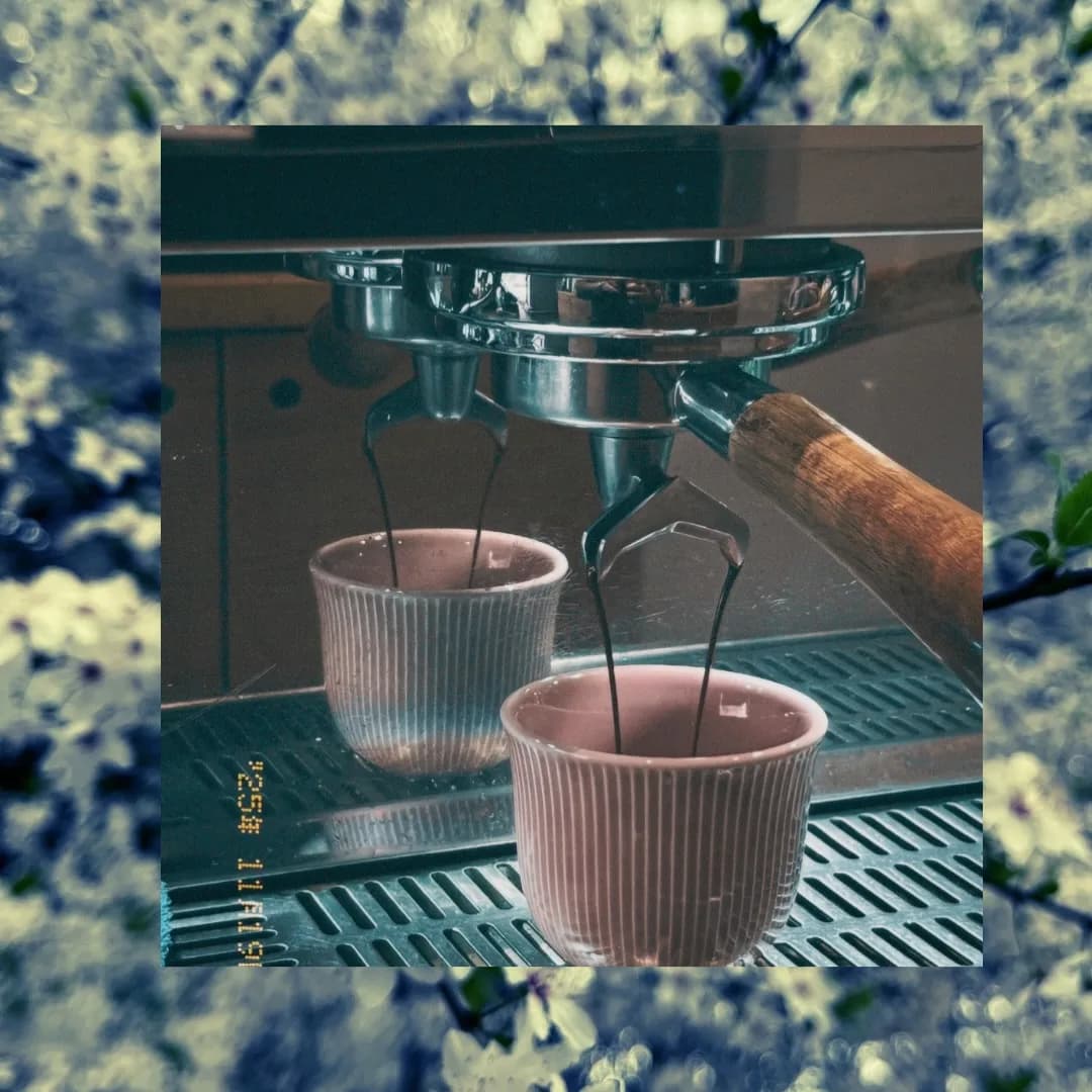Drip Specialty Coffee
