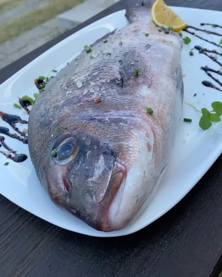 Kod Kapetana