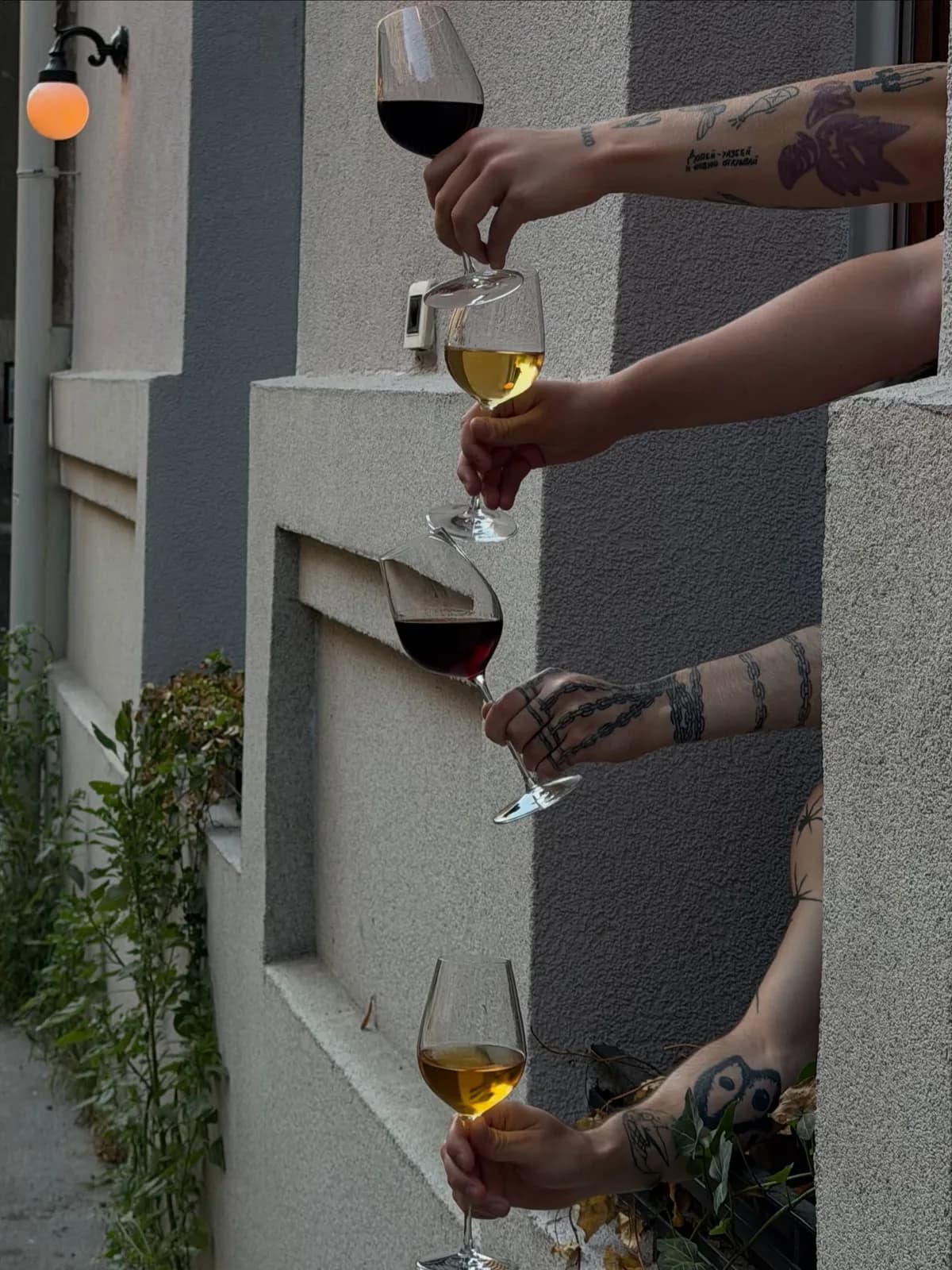 Polly Wine Bar
