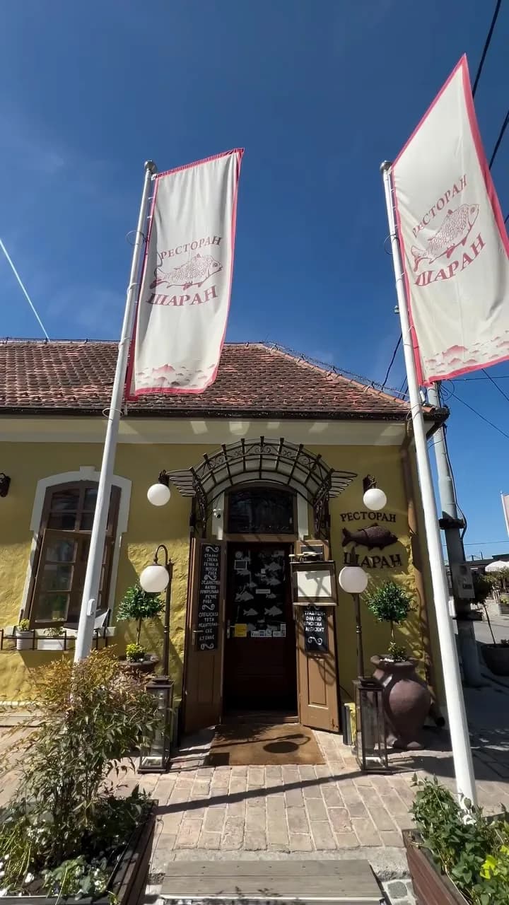 Šaran
