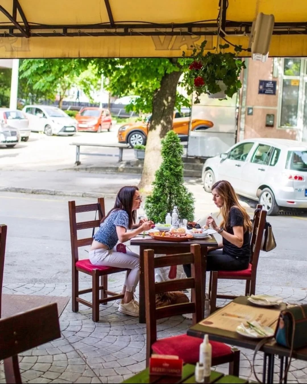 Stara Hercegovina